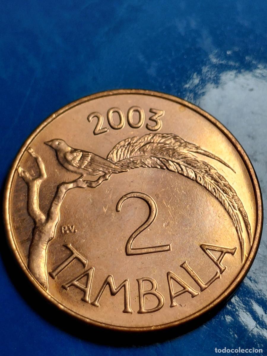 Monedas antiguas de &Aacute;frica: MALAWI - 2 TAMBALA 2003 KM34a - Foto 1