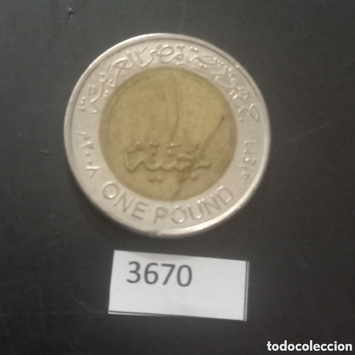 Monedas antiguas de &Aacute;frica: Egipto una libra 2008 - Foto 2