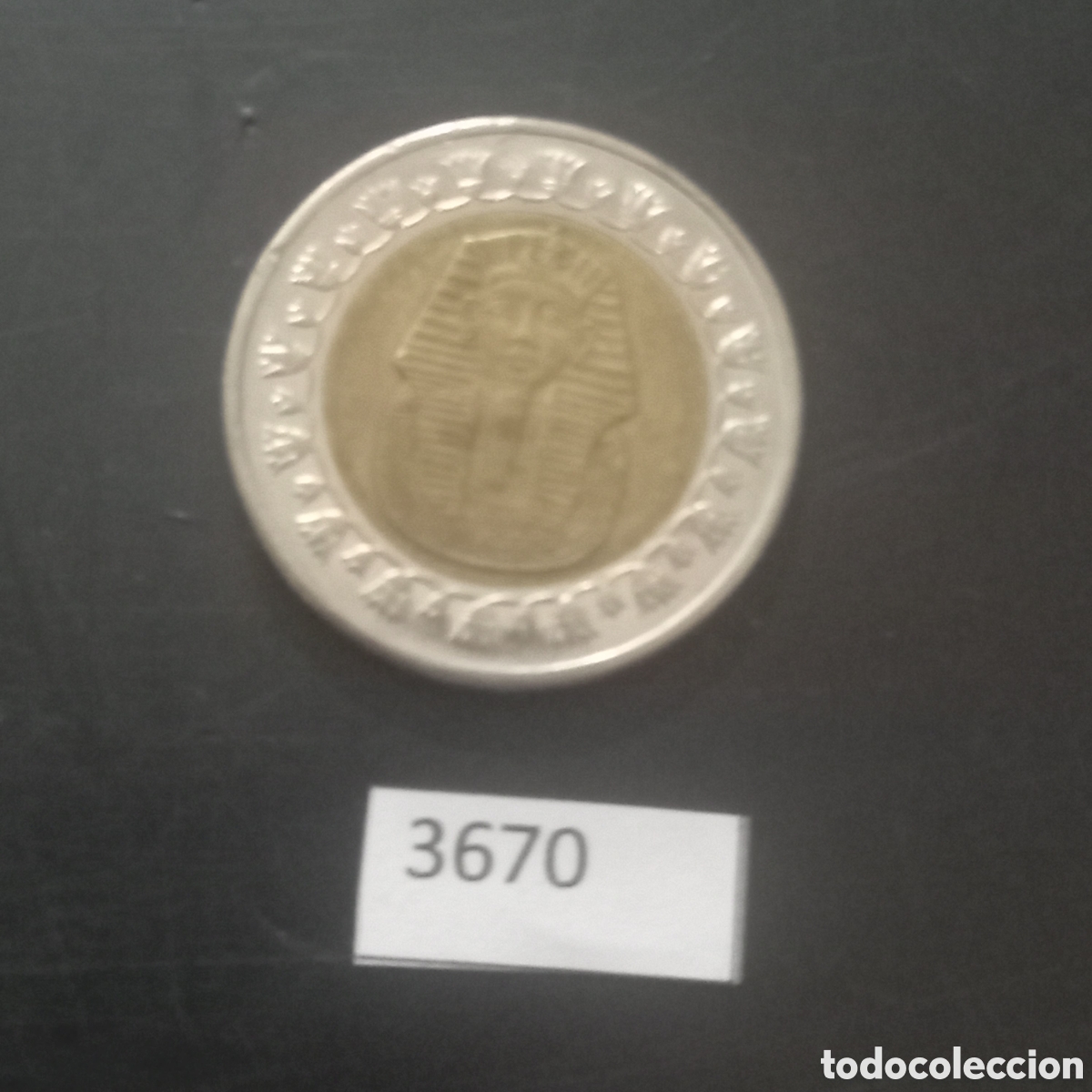 Monedas antiguas de &Aacute;frica: Egipto una libra 2008 - Foto 1