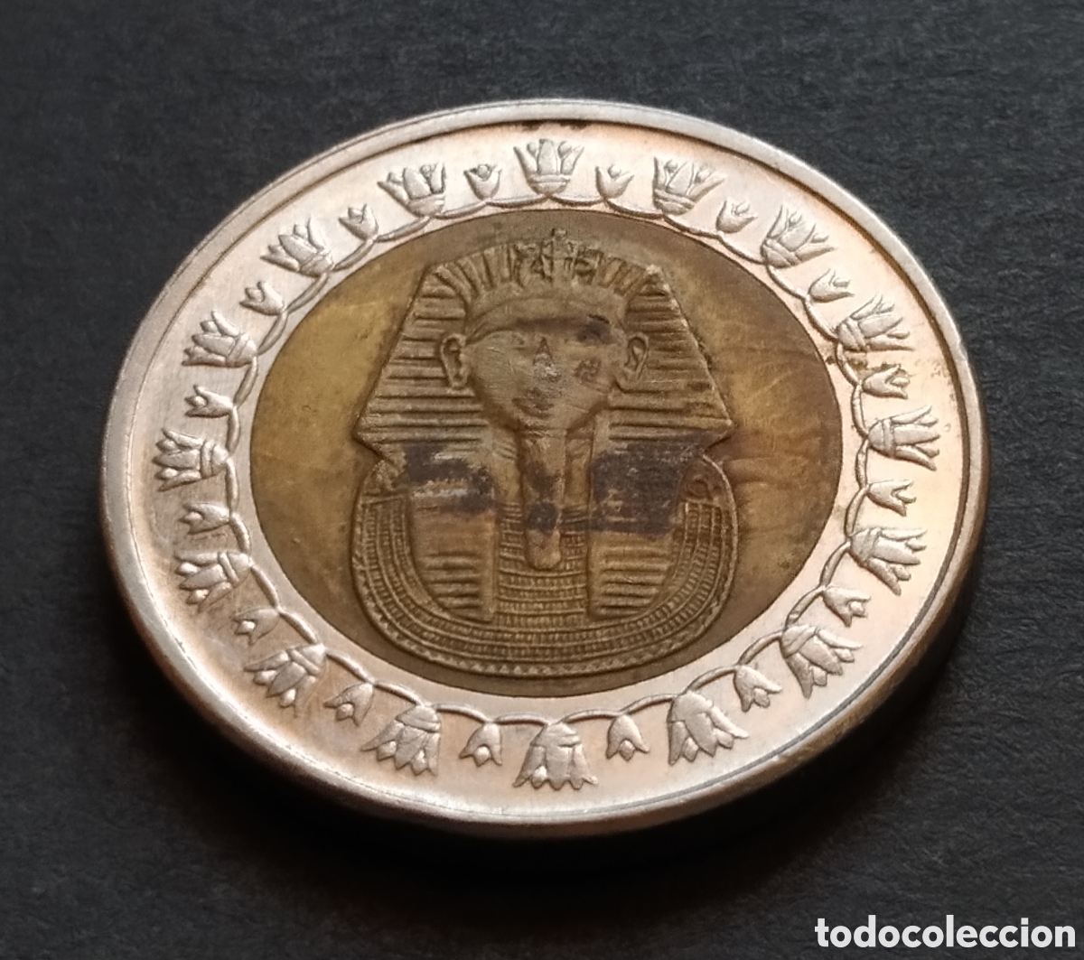 Monedas antiguas de &Aacute;frica: MONEDA - EGIPTO 1 LIBRA / POUND 2018 - Foto 3