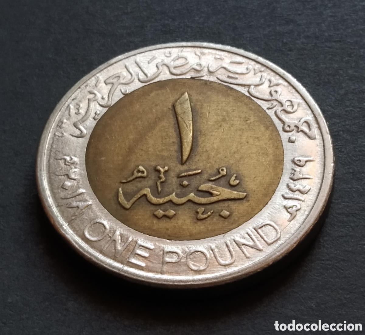 Monedas antiguas de &Aacute;frica: MONEDA - EGIPTO 1 LIBRA / POUND 2018 - Foto 4