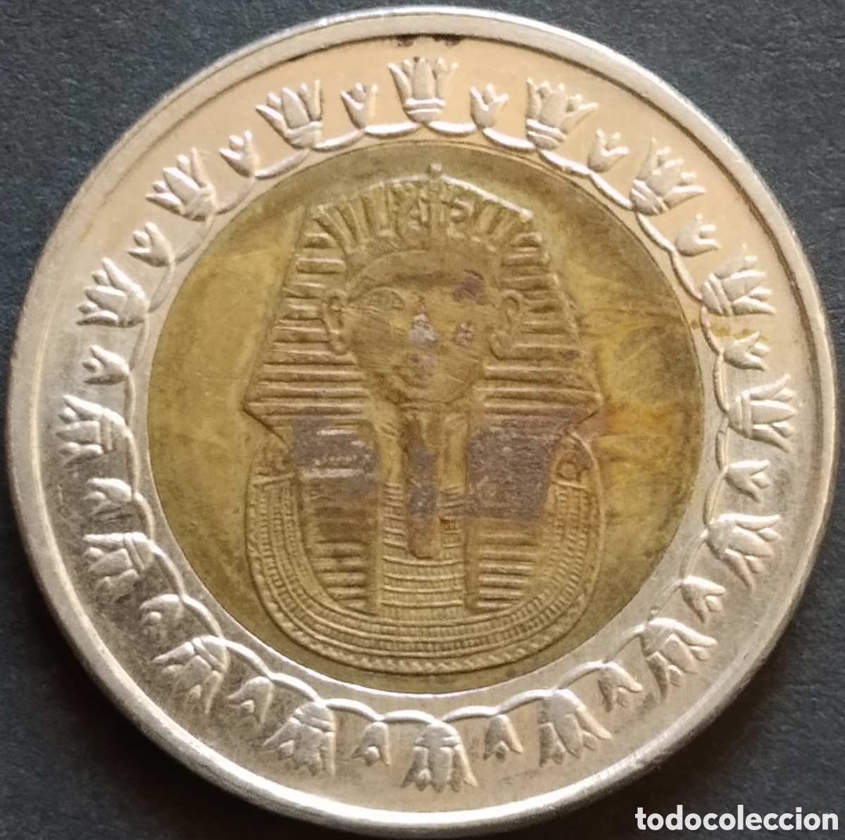 Monedas antiguas de &Aacute;frica: MONEDA - EGIPTO 1 LIBRA / POUND 2018 - Foto 1