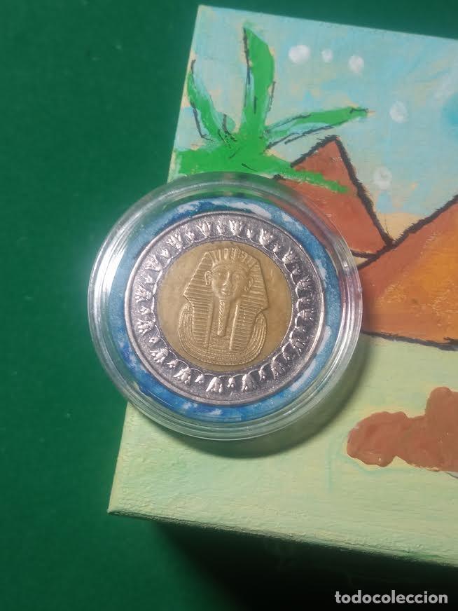 Monedas antiguas de &Aacute;frica: MONEDA 1 ONE POUND (LIBRA EGIPTO) - Foto 1