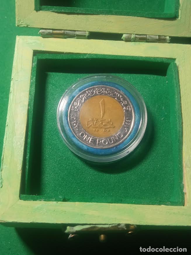 Monedas antiguas de &Aacute;frica: MONEDA 1 ONE POUND (LIBRA EGIPTO) - Foto 4