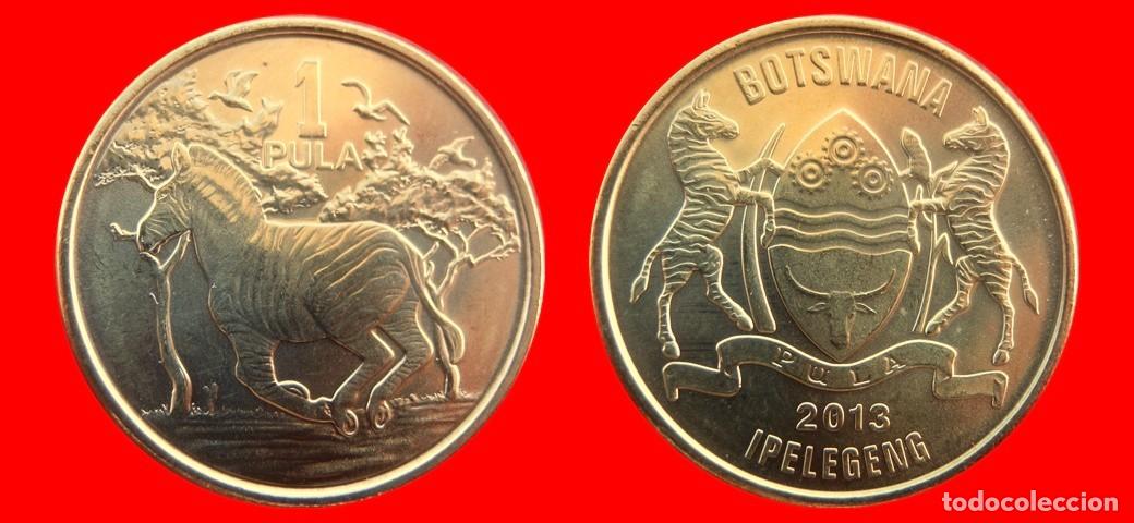 Monedas antiguas de &Aacute;frica: 1 PULA 2013 SIN CIRCULAR BOTSWANA-8717SC - Foto 1