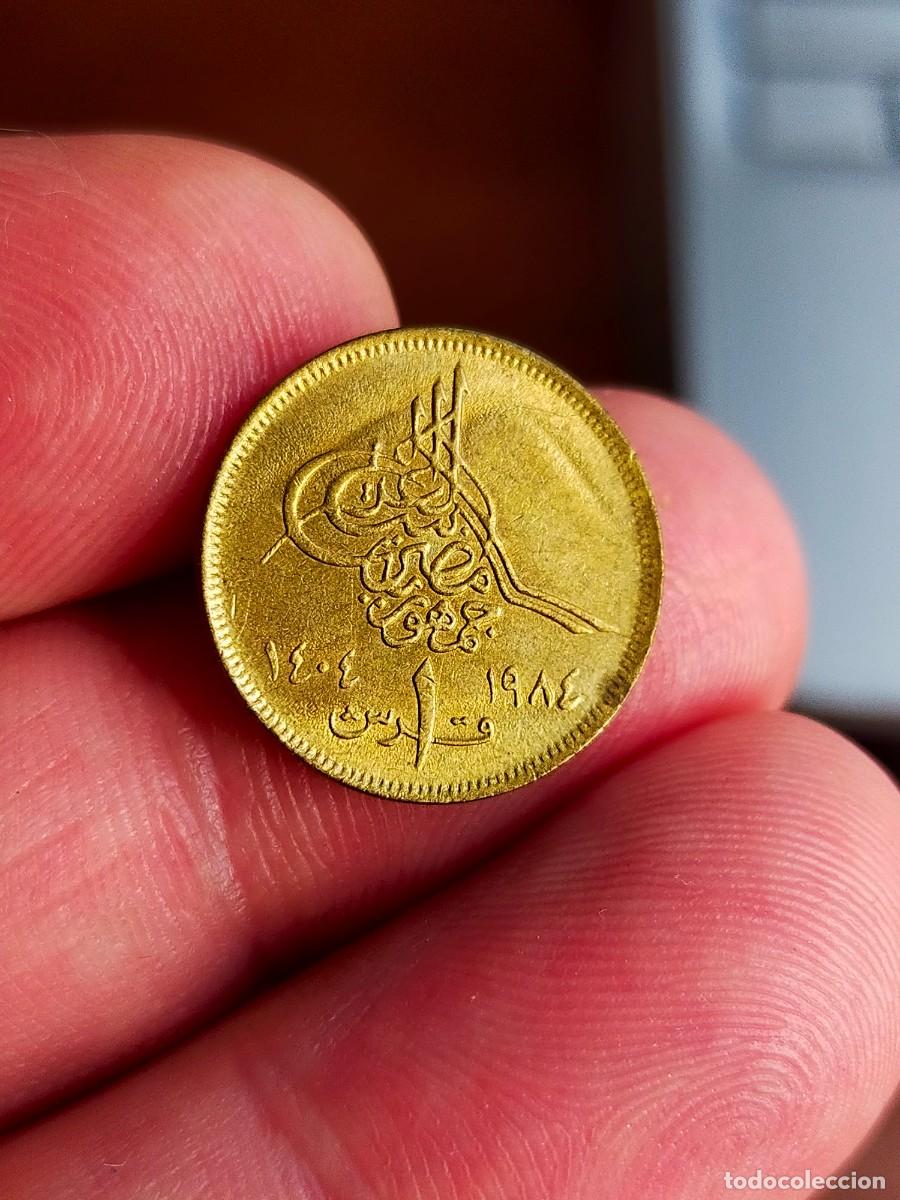 Monedas antiguas de &Aacute;frica: MONEDA DE 1 UNA PIASTRA 1984 1404 EGIPTO MUY BUENA CONSERVACION