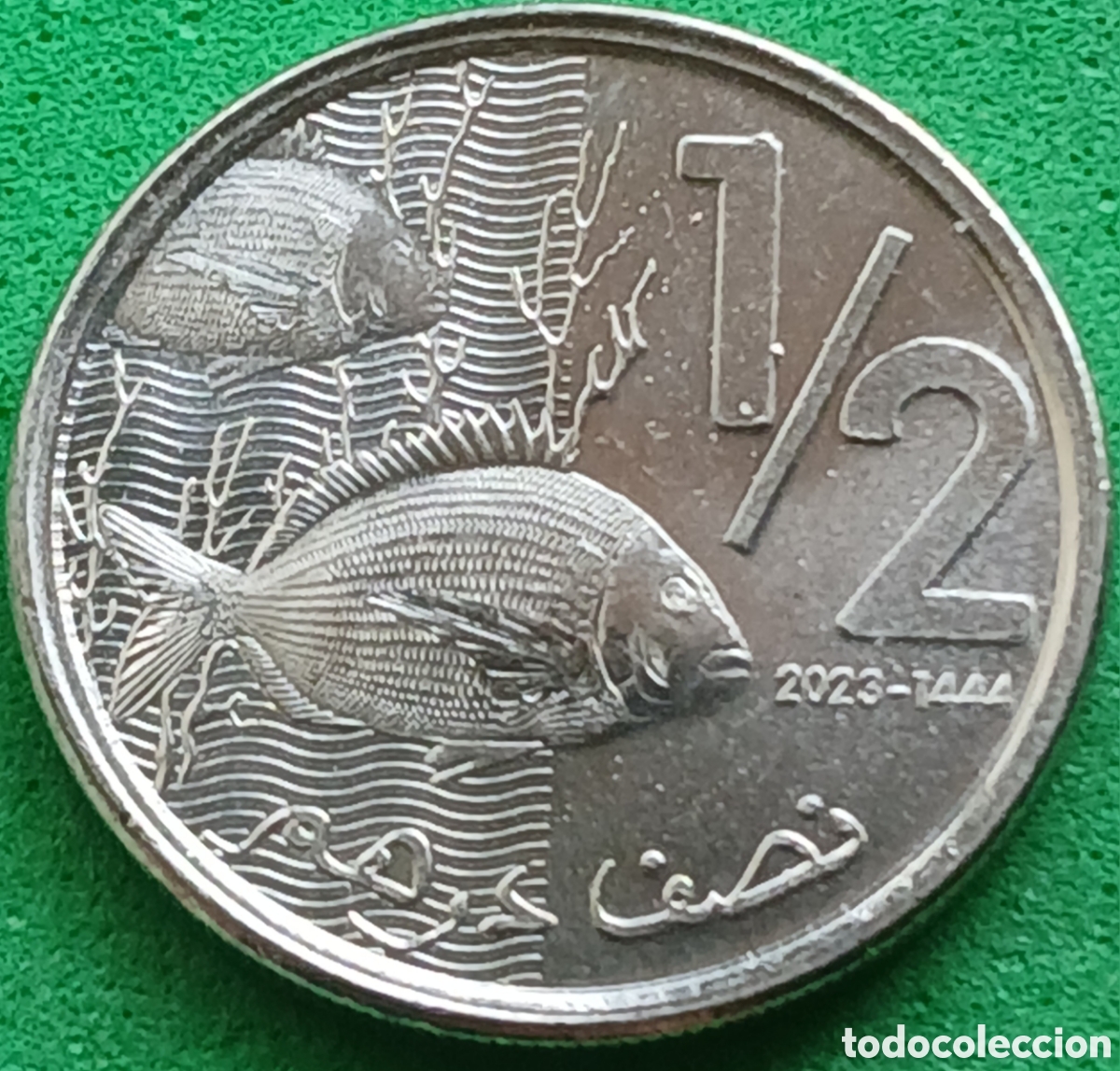 Monedas antiguas de &Aacute;frica: Marruecos &frac12; dirham 2023 Y#138 ESCASA!