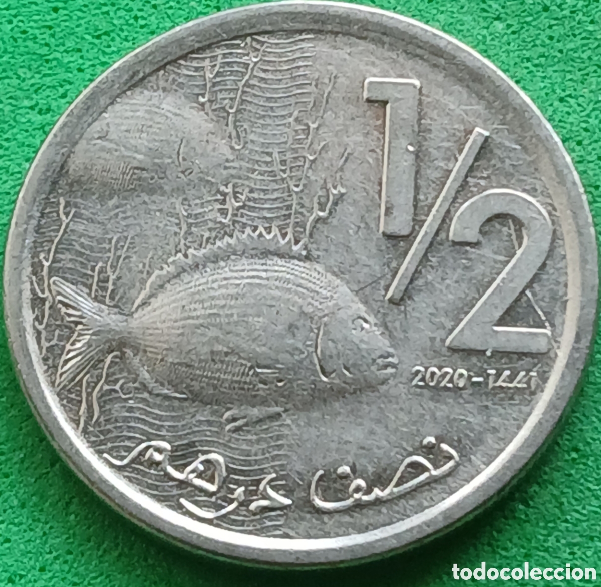 Monedas antiguas de &Aacute;frica: Marruecos &frac12; dirham 2020 Y#138 ESCASA
