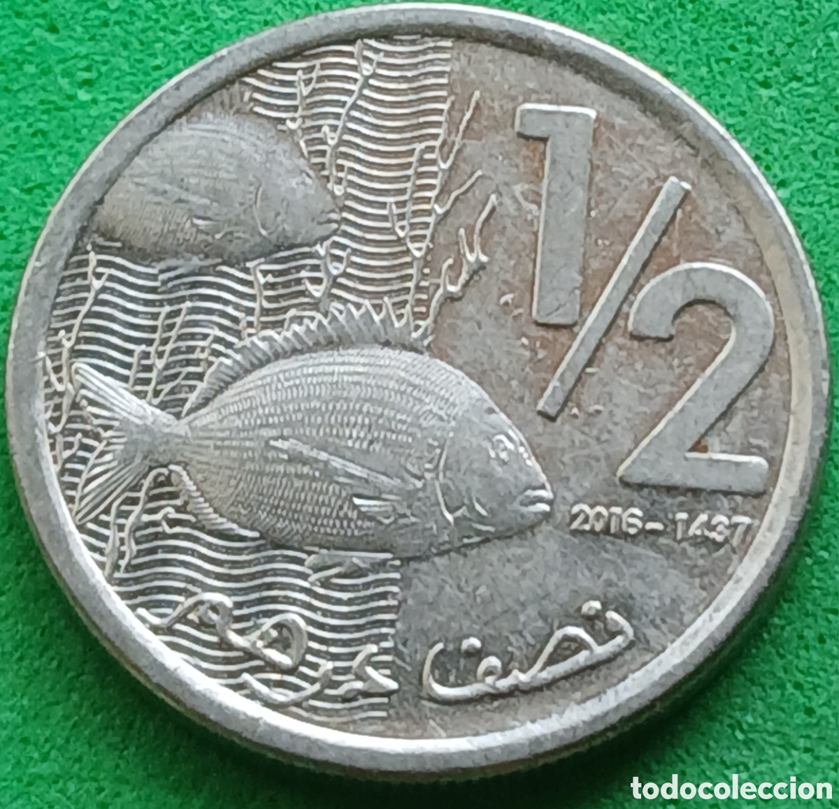 Monedas antiguas de &Aacute;frica: Marruecos &frac12; dirham 2016 Y#138