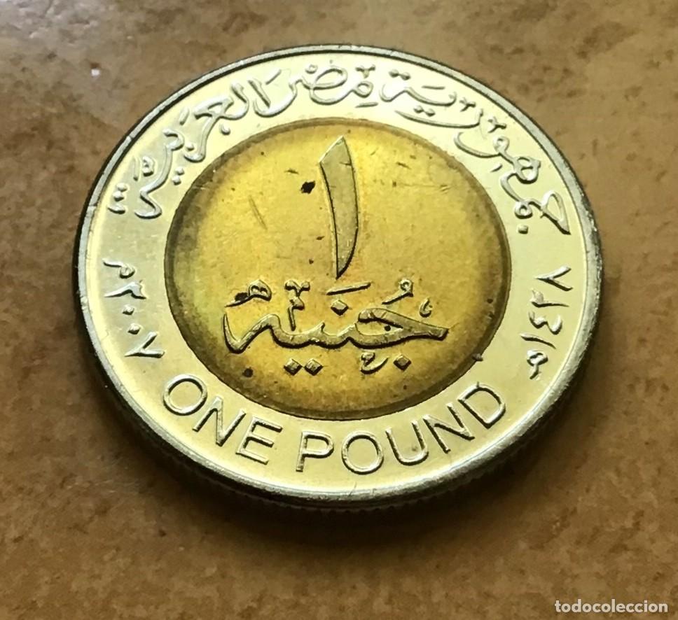 Monedas antiguas de &Aacute;frica: 1 libra de Egipto. A&ntilde;o 2007 - Foto 1