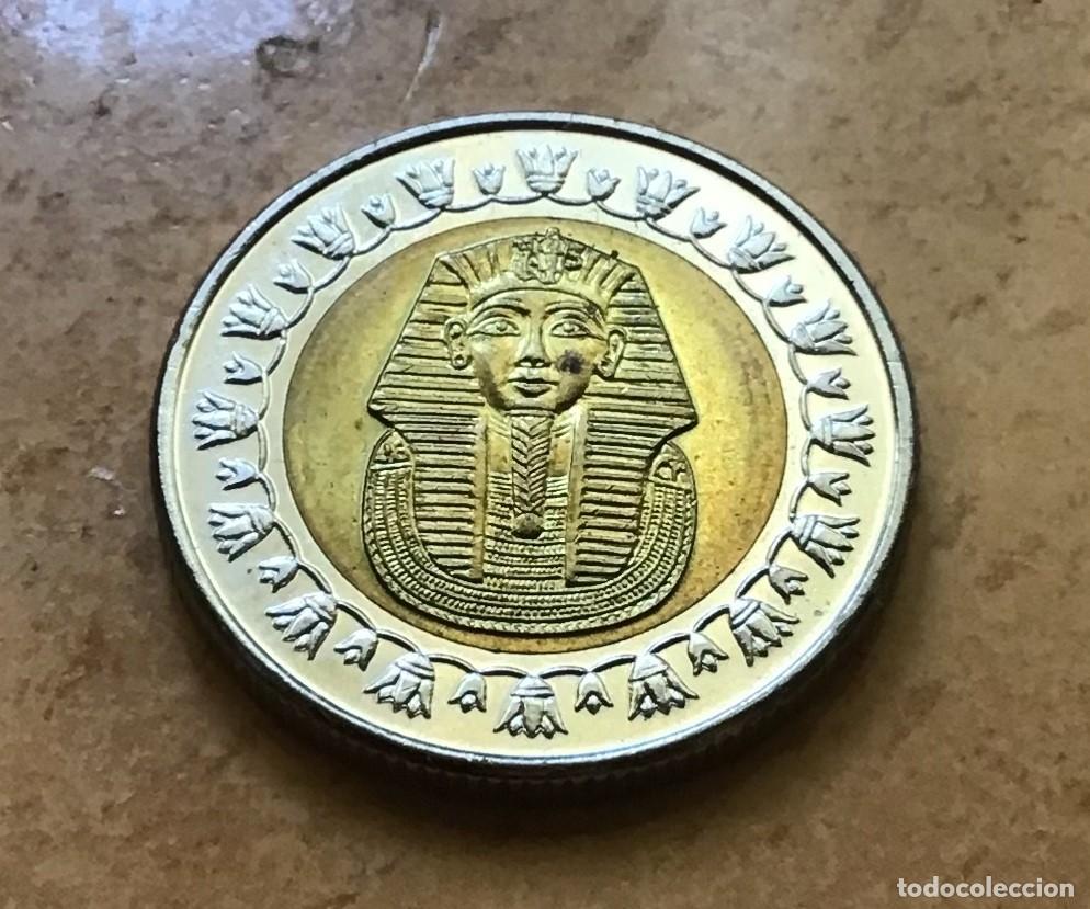 Monedas antiguas de &Aacute;frica: 1 libra de Egipto. A&ntilde;o 2007 - Foto 2