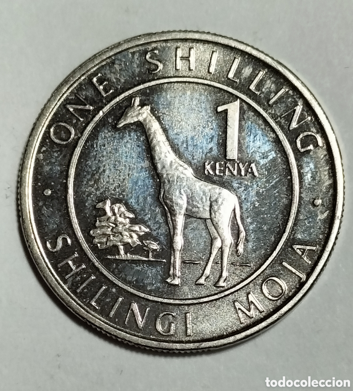 Monedas antiguas de &Aacute;frica: Moneda 1 Chel&iacute;n 2018 Kenia. - Foto 1