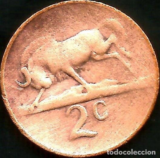 Monedas antiguas de &Aacute;frica: SUDAFRICA 1965 - 2 CENTS - KM 66.1 - CIRCULADA