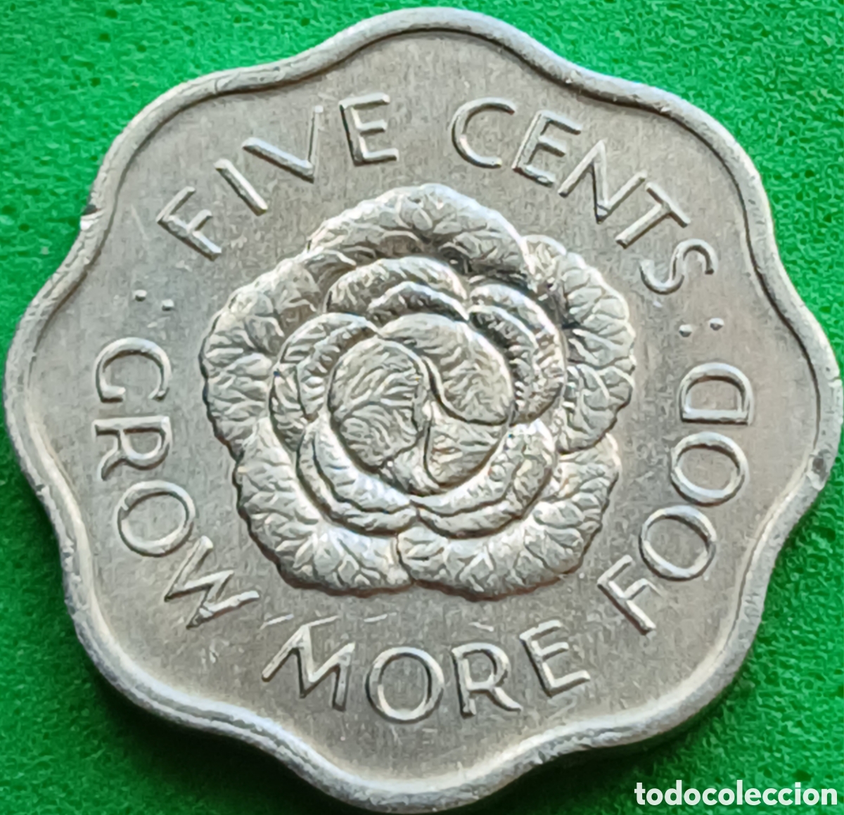 Monnaies anciennes d'Afrique: Seychelles five cents 1975 km#18 FAO