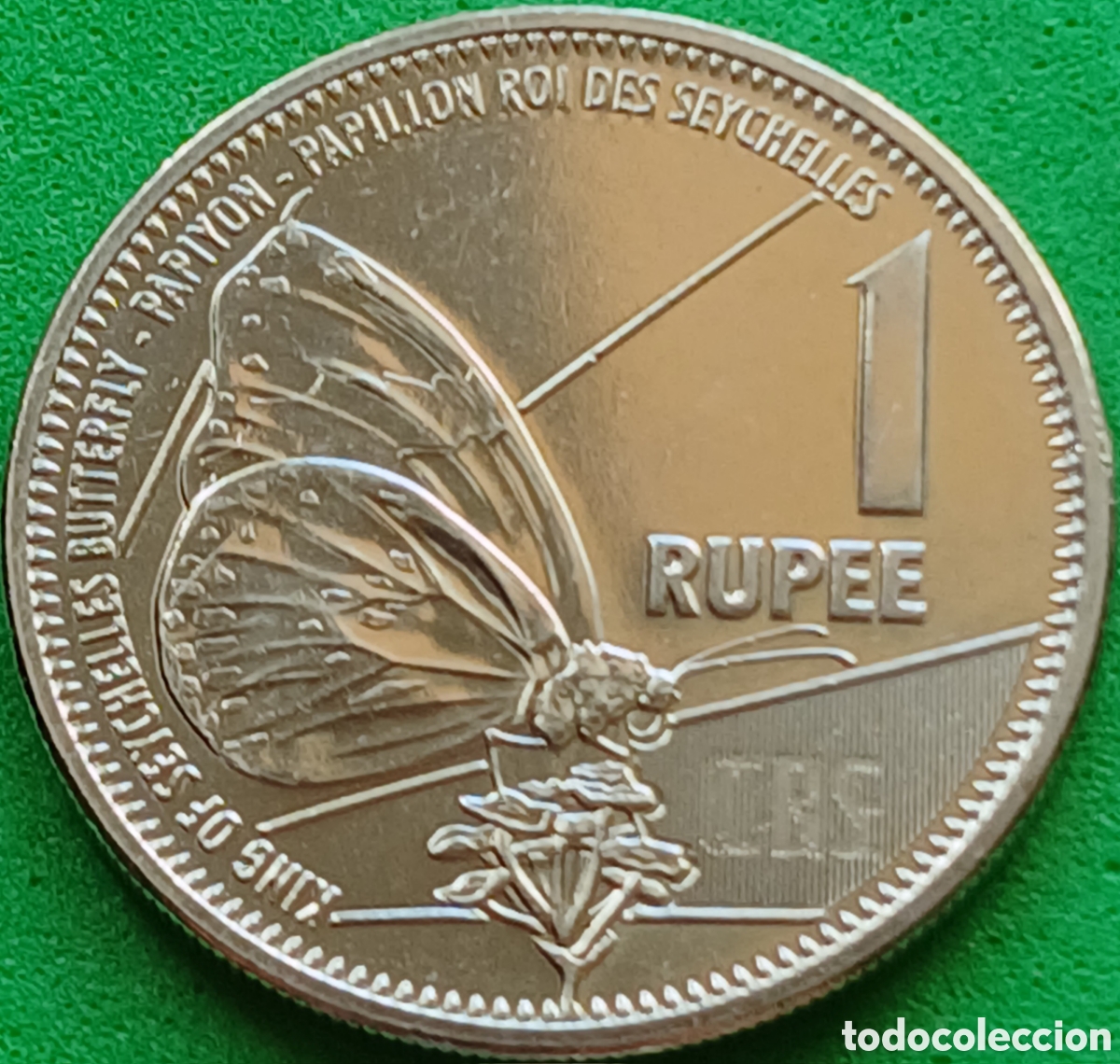 Monedas antiguas de &Aacute;frica: Seychelles 1 rupee 2024 UC#8 RARA (R) !
