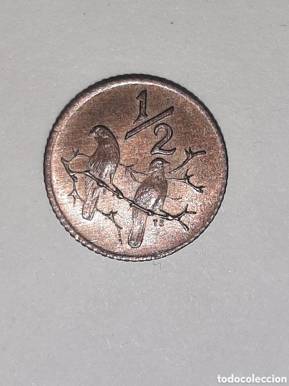 Monedas antiguas de &Aacute;frica: SUDAFRICA REPUBLICA 1/2 CENT. 1970
