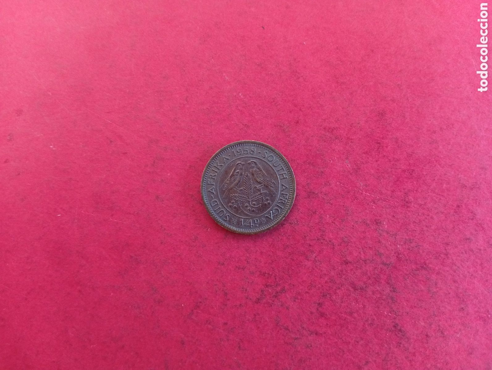 Monedas antiguas de &Aacute;frica: 1/4 penique de Sud&aacute;frica 1958