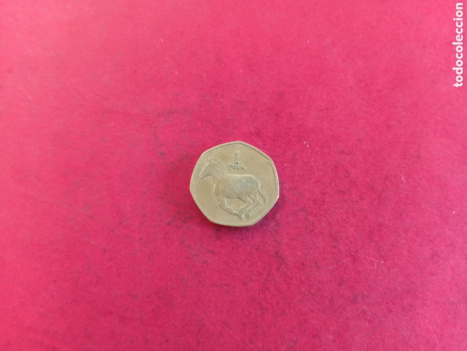 Monedas antiguas de &Aacute;frica: 1 pula de Botswana 1991 - Foto 2