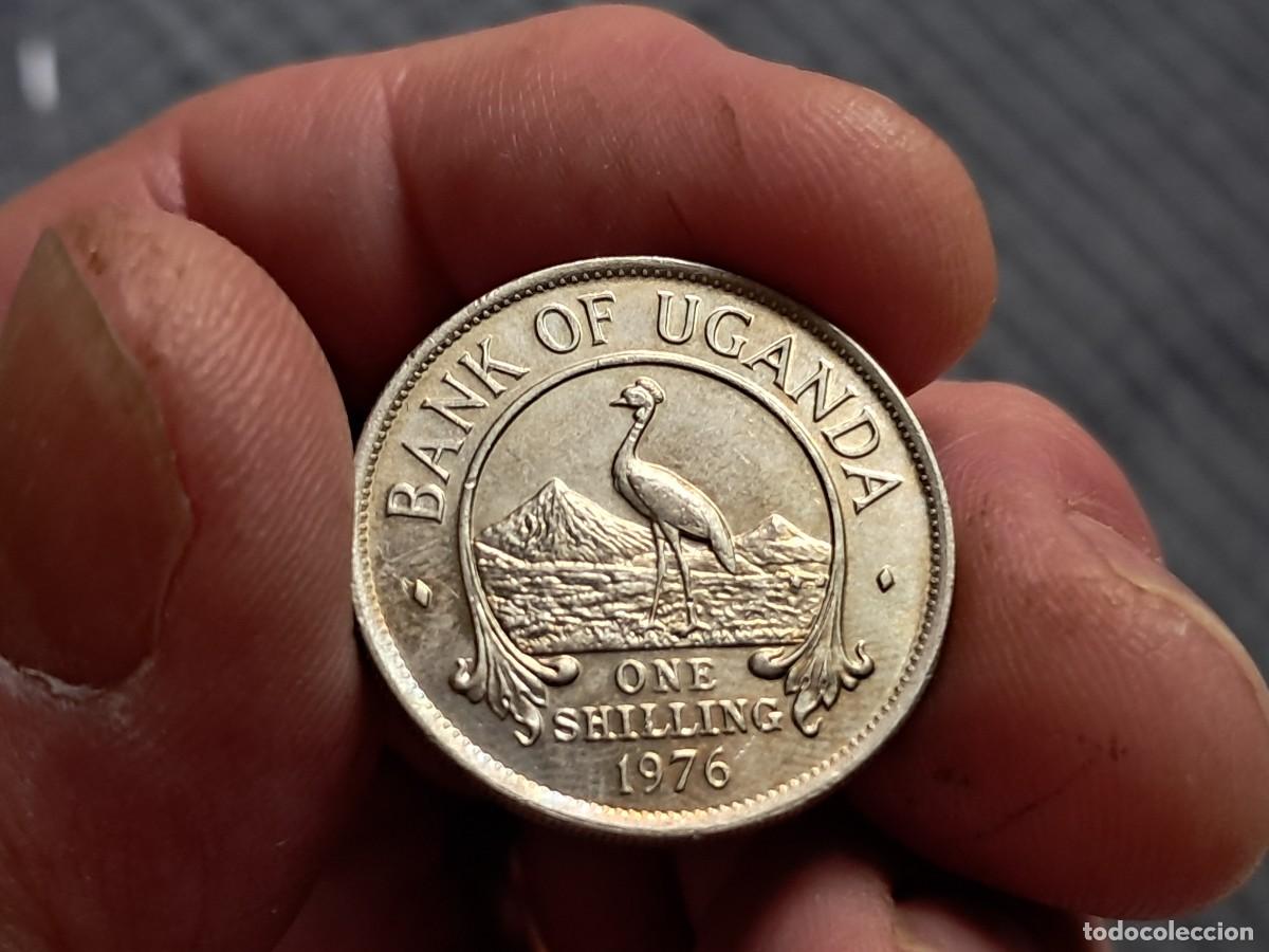 Monedas antiguas de &Aacute;frica: MONEDA DE UGANDA 1 CHEL&Iacute;N / SHILLING 1976 sin circular (magn&eacute;tica) KM# 5a, UNC.