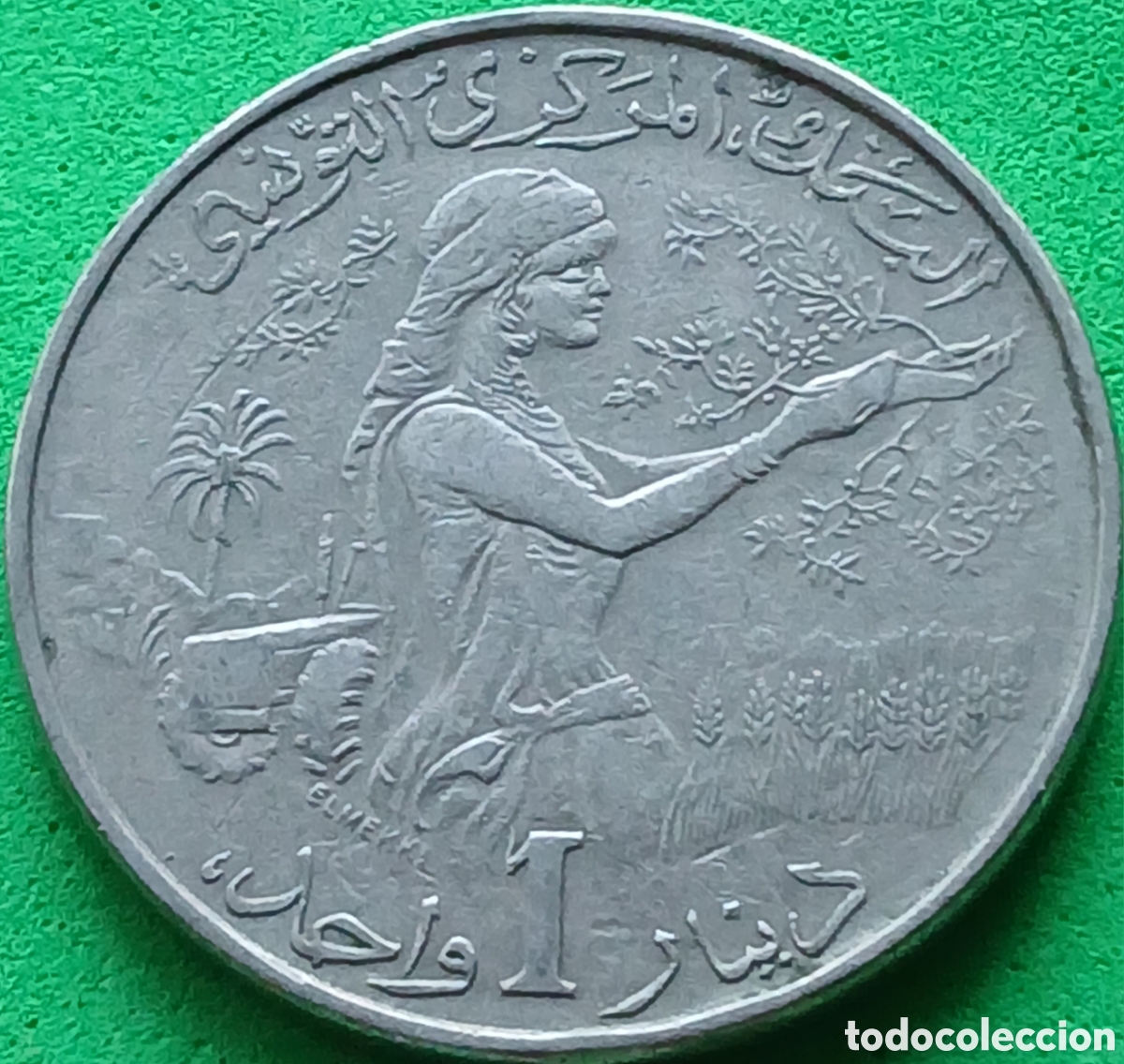 Monedas antiguas de &Aacute;frica: T&uacute;nez 1 dinar 1976 km#304