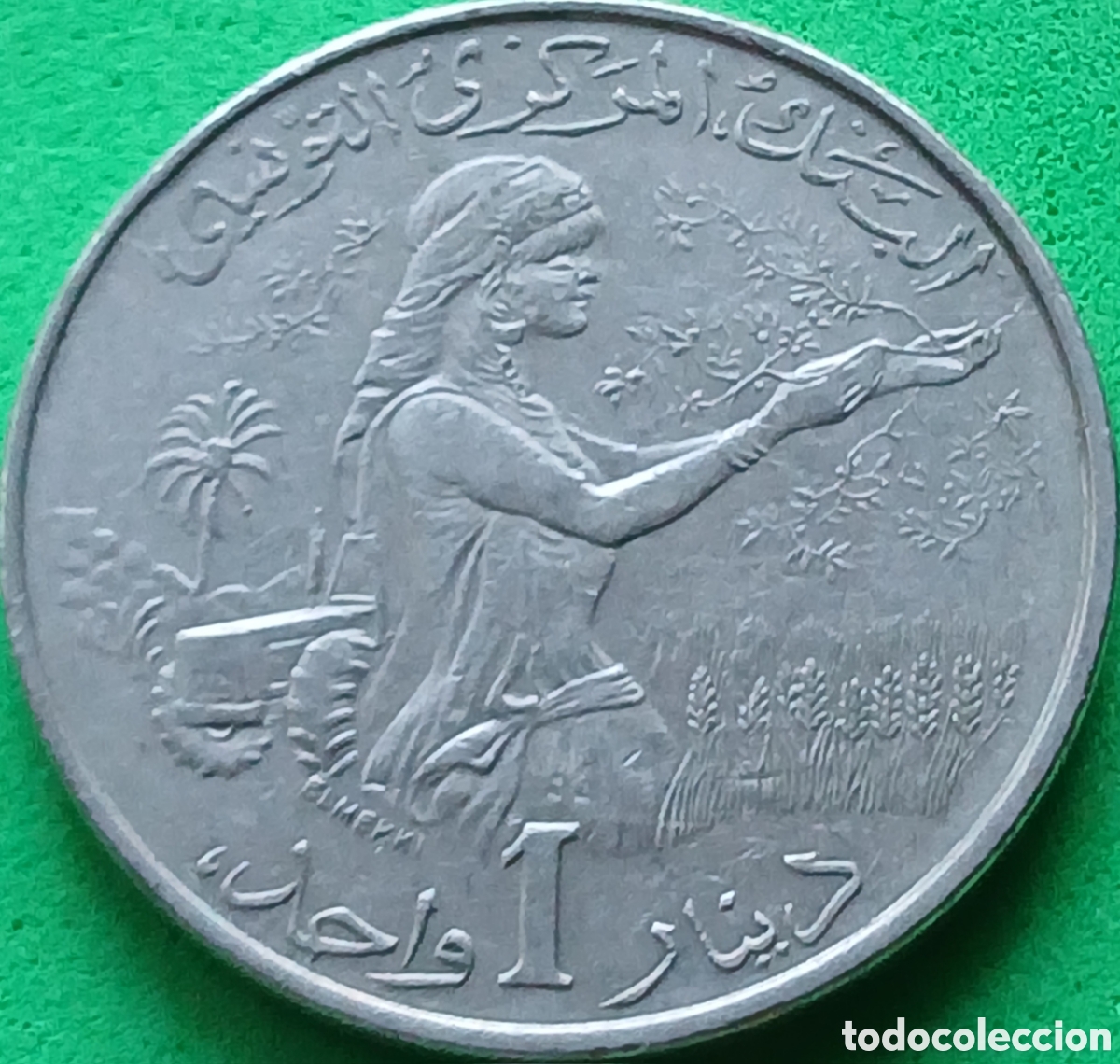 Monedas antiguas de &Aacute;frica: T&uacute;nez 1 dinar 1983 km#304