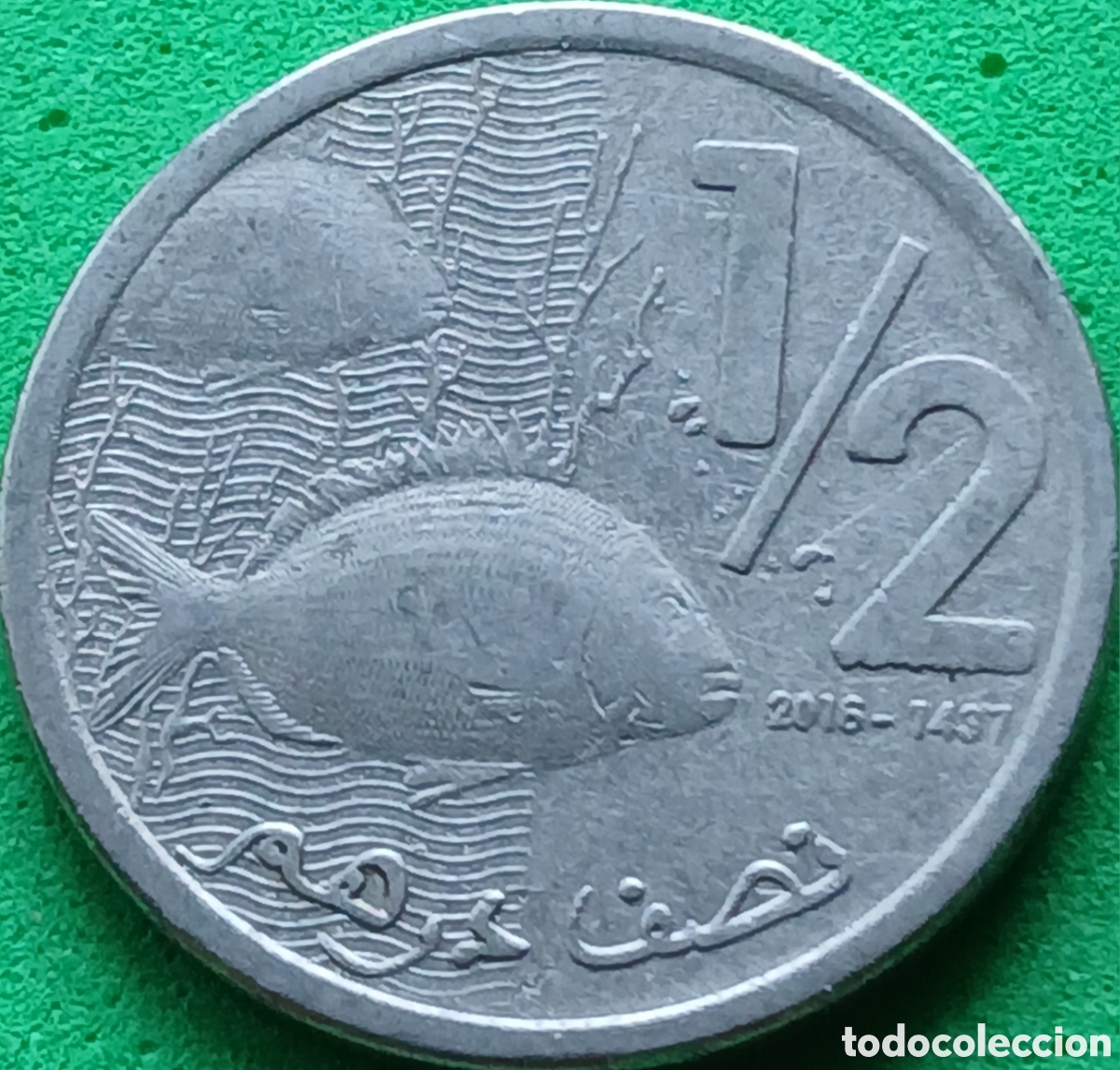Monedas antiguas de &Aacute;frica: Marruecos &frac12; dirham 2016 Y#138