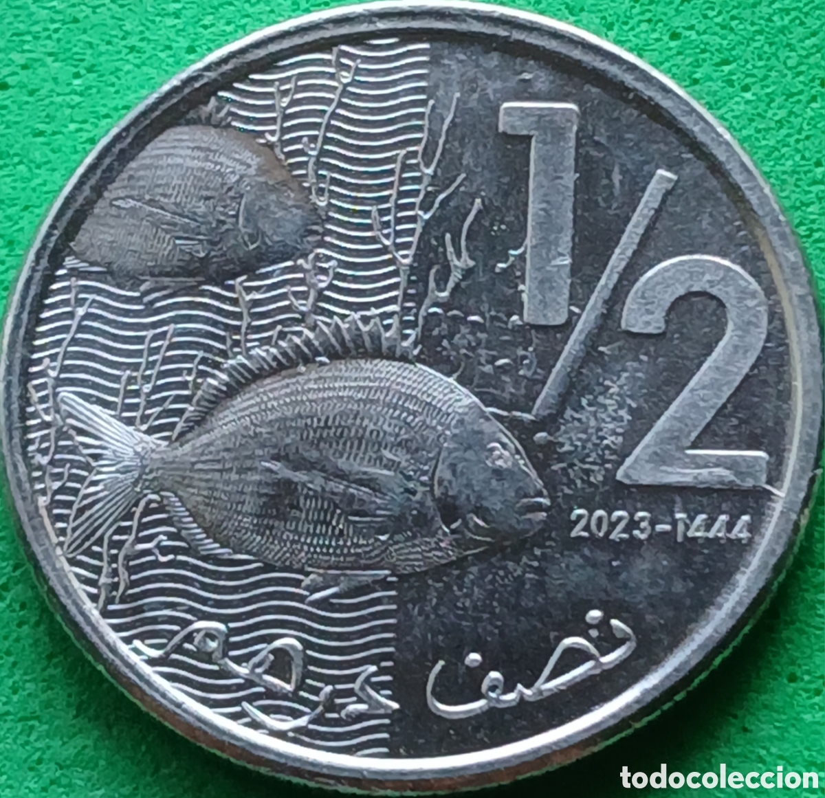 Monedas antiguas de &Aacute;frica: Marruecos &frac12; dirham 2023 Y#138 ESCASA