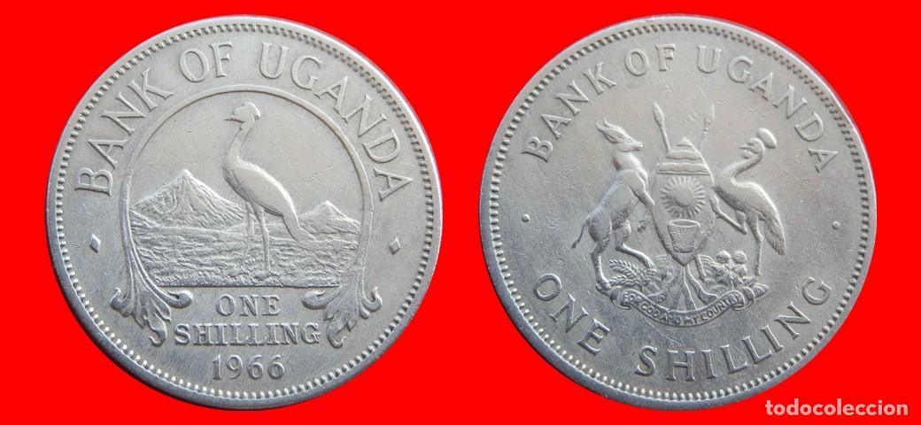 Monedas antiguas de &Aacute;frica: 1 CHELIN SHILLING 1966 UGANDA-143843