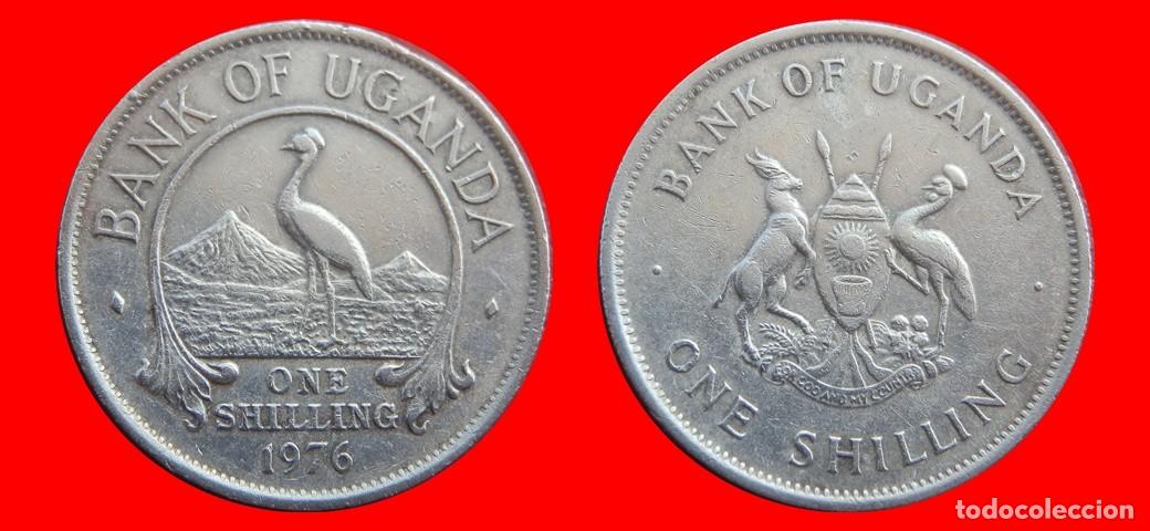Monedas antiguas de &Aacute;frica: 1 CHELIN SHILLING 1976 UGANDA-143844