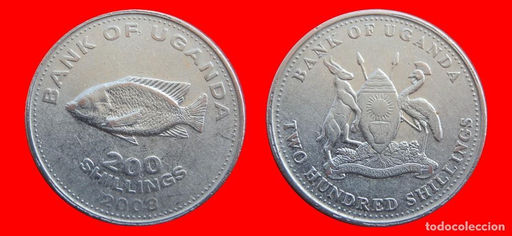Monedas antiguas de &Aacute;frica: 200 CHELINES SHILLINGS 2008 UGANDA-143850