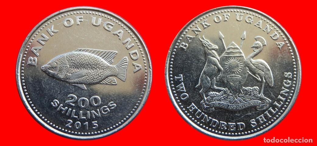 Monedas antiguas de &Aacute;frica: 200 CHELINES SHILLINGS 2015 UGANDA-143851