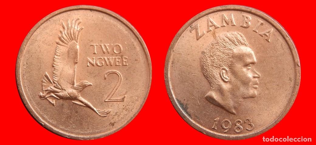 Monedas antiguas de &Aacute;frica: 2 NGWEE 1983 ZAMBIA-143858