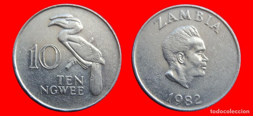 Monedas antiguas de &Aacute;frica: 10 NGWEE 1982 ZAMBIA-143859