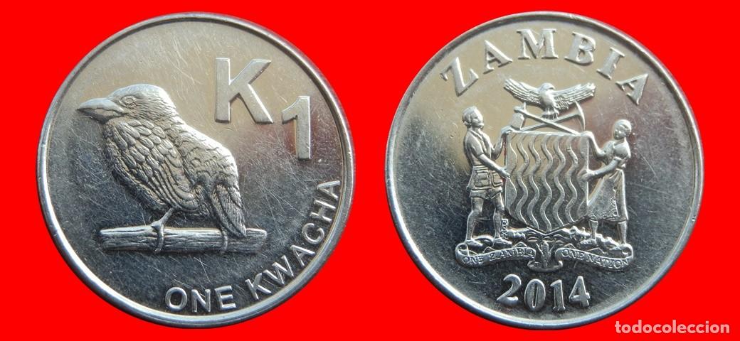 Monedas antiguas de &Aacute;frica: 1 KWACHA 2014 ZAMBIA-143861