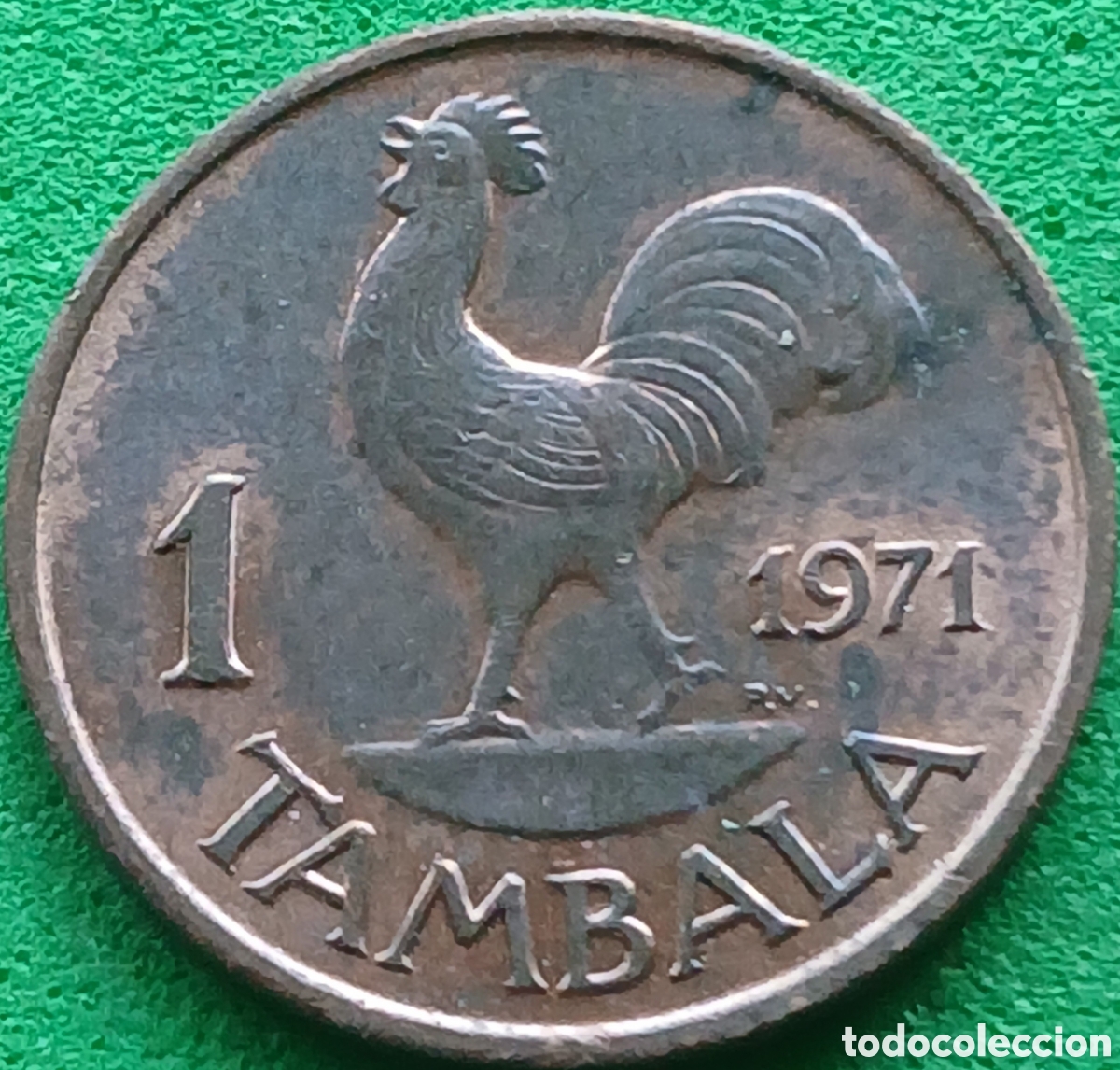 Monedas antiguas de &Aacute;frica: Malawi 1 tambala 1971 km#7