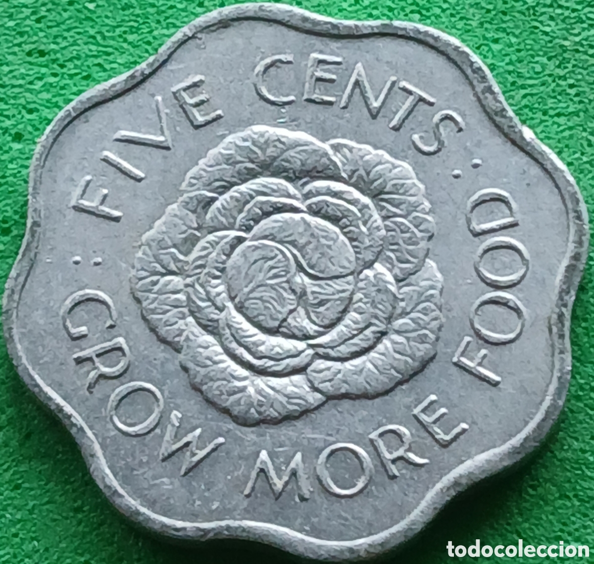 Monedas antiguas de &Aacute;frica: Seychelles 5 cents 1972 km#18 FAO