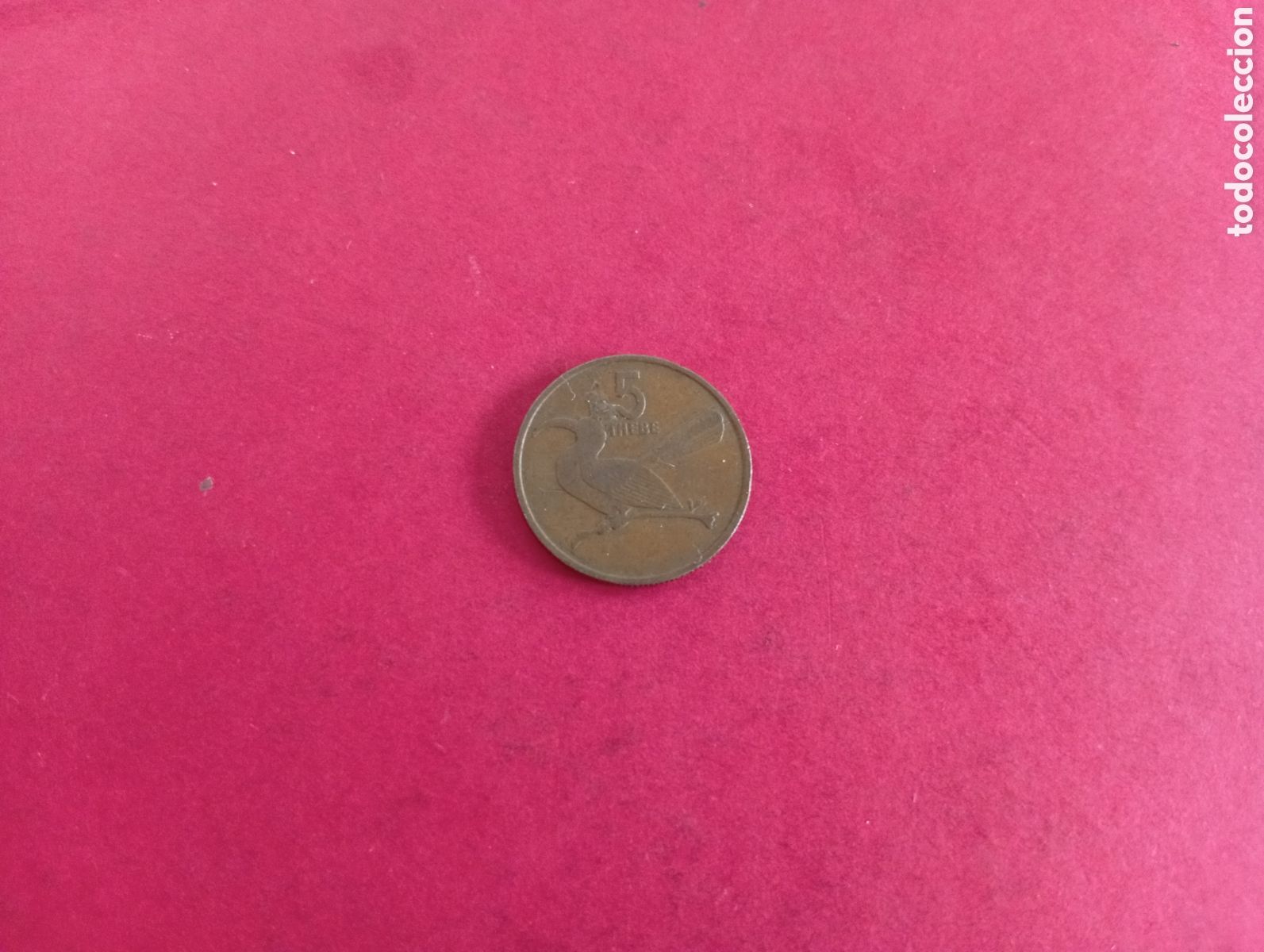 Monedas antiguas de &Aacute;frica: 5 thebe de Botswana 1981
