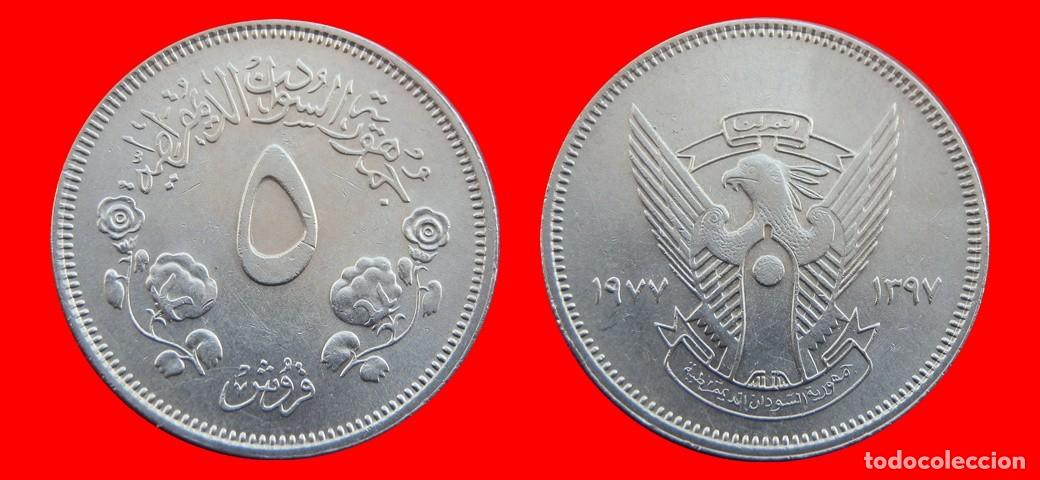 Monedas antiguas de &Aacute;frica: 5 GHIRSH 1977 SUDAM-144109