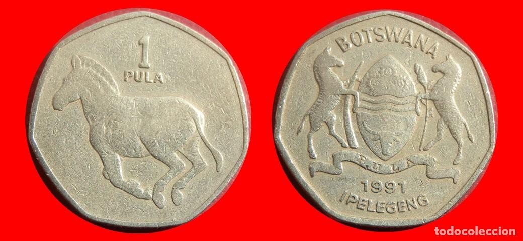 Monedas antiguas de &Aacute;frica: 1 PULA 1991 BOTSWANA BOTSUANA-144130