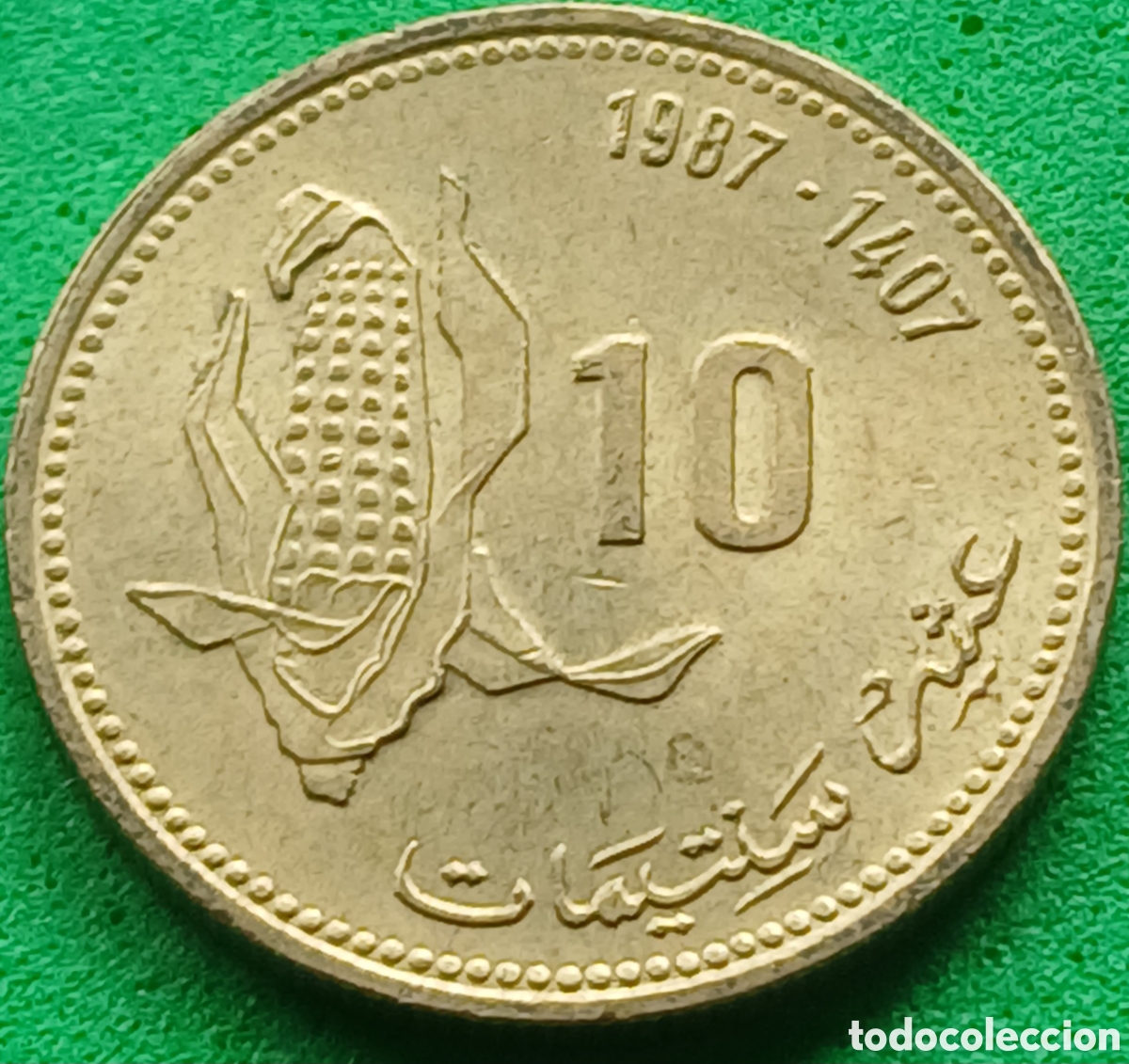 Monedas antiguas de &Aacute;frica: Marruecos 10 santimat 1987 Y#84 FAO