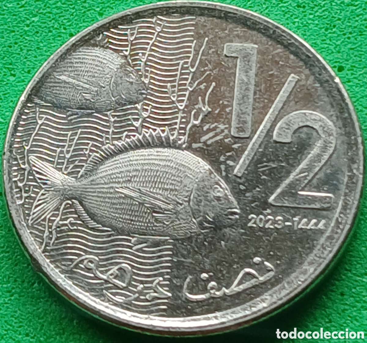 Monedas antiguas de &Aacute;frica: Marruecos &frac12; dirham 2023 Y#138 ESCASA!