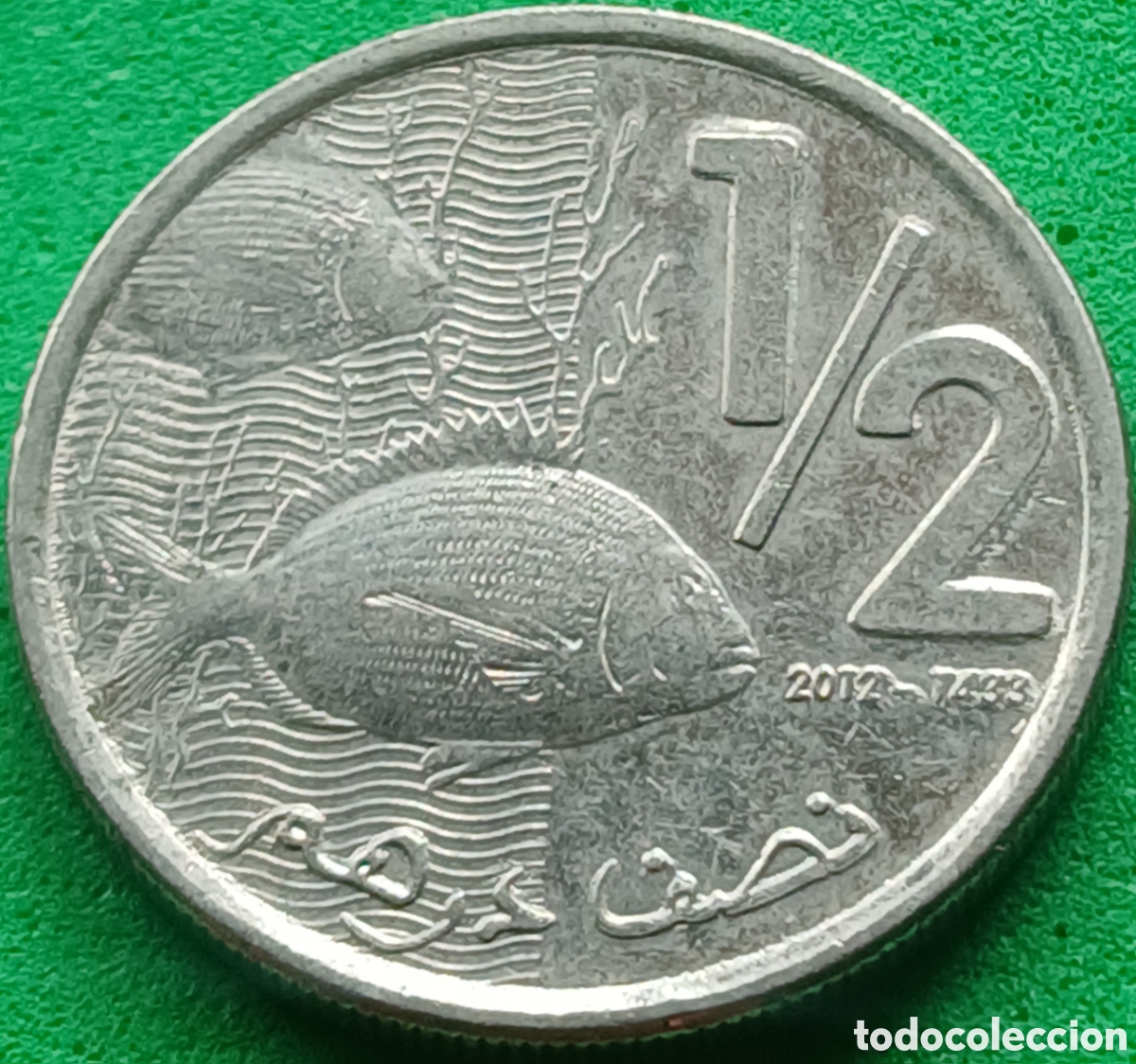 Monedas antiguas de &Aacute;frica: Marruecos &frac12; dirham 2012 Y#138
