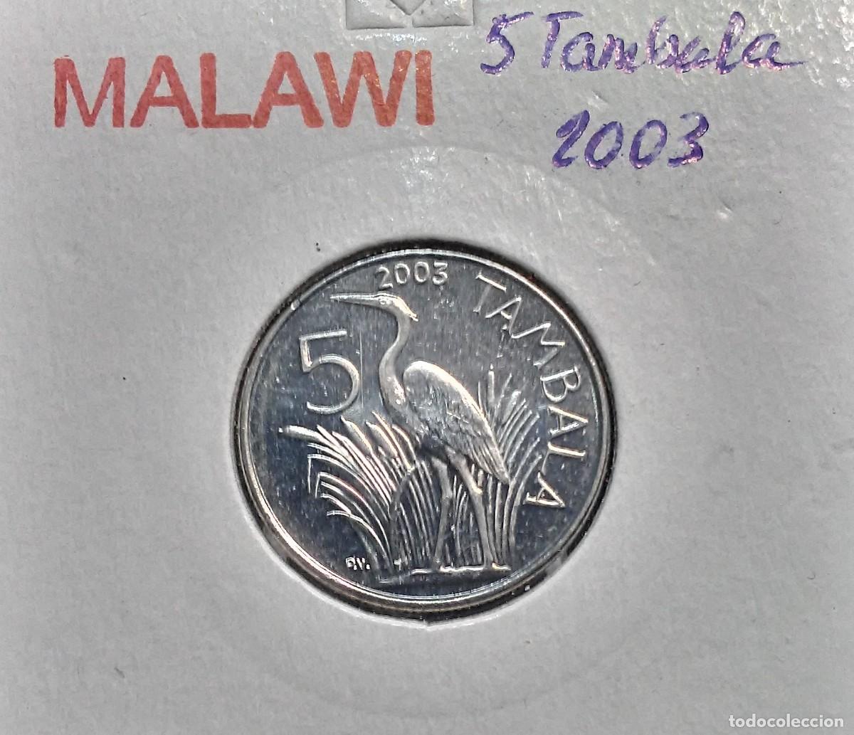 Monedas antiguas de &Aacute;frica: MALAWI 5 TAMBALA 2004 KM#32.2 SC UNC.