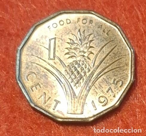 Monedas antiguas de &Aacute;frica: MONEDA DE SUAZILANDIA 1975 - 1 CENTAVO - BRONCE FAO