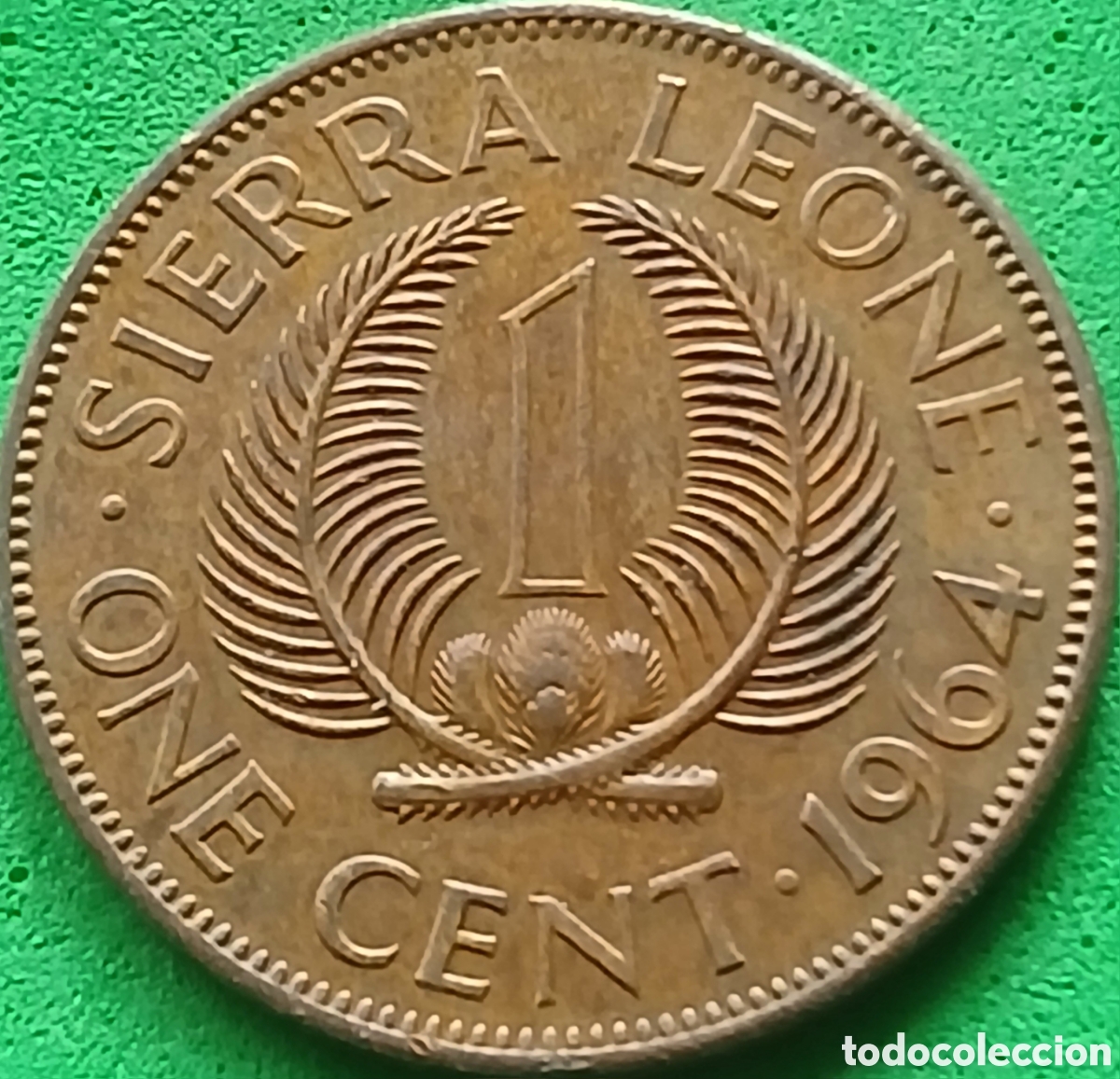 Monedas antiguas de &Aacute;frica: Sierra Leone one cent 1964 km#17