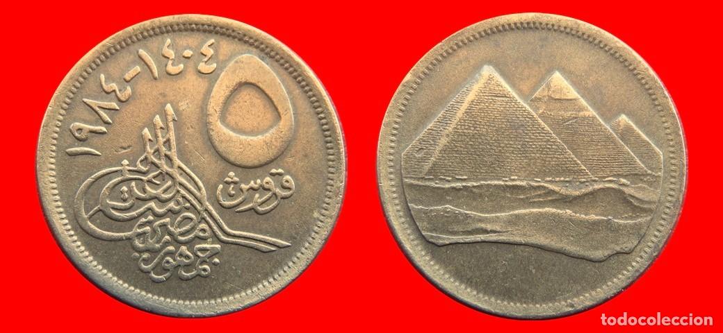 Monedas antiguas de &Aacute;frica: 5 PIASTRAS 1984 EGIPTO-144973