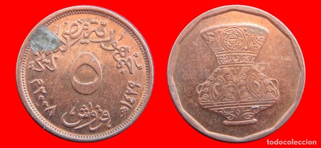 Monedas antiguas de &Aacute;frica: 5 PIASTRAS 2008 EGIPTO-144974