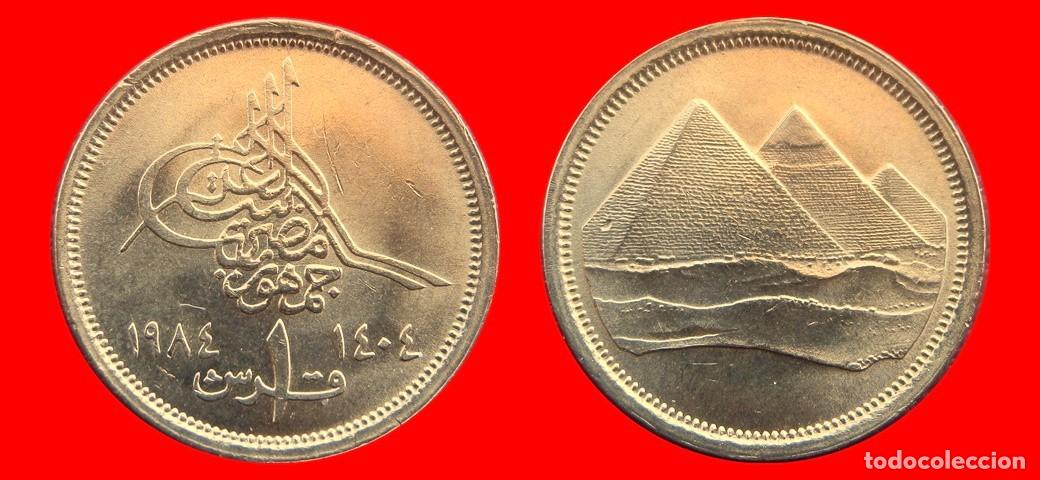 Monedas antiguas de &Aacute;frica: 1 PIASTRA 1984 EGIPTO-144981