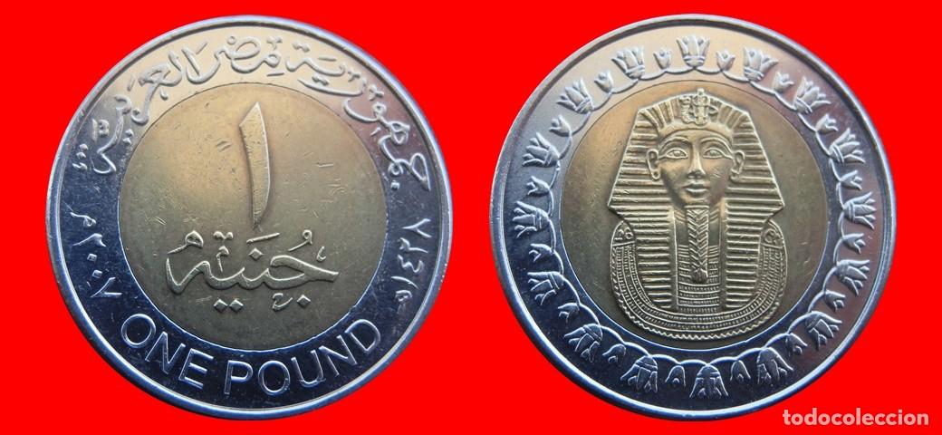 Monedas antiguas de &Aacute;frica: 1 LIBRA POUND 2007 EGIPTO-144986