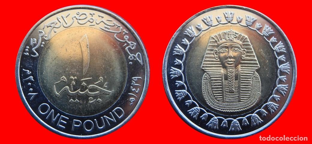 Monedas antiguas de &Aacute;frica: 1 LIBRA POUND 2008 EGIPTO-144987